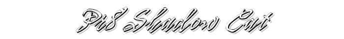 PR8 Shadow Cat font